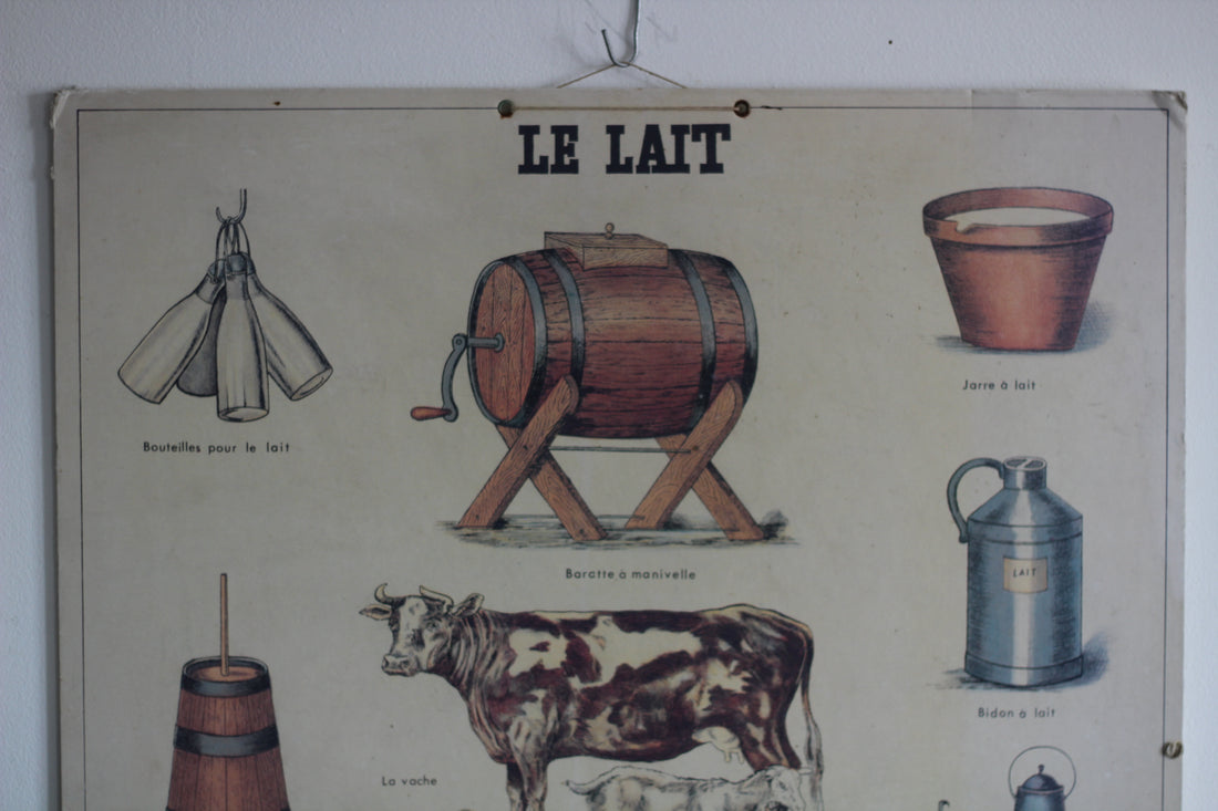 Affiche "Le Lait" Deyrolle